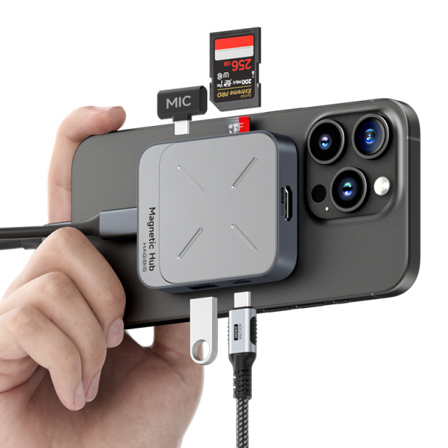 Multi-Port Docking Station Interface Detail